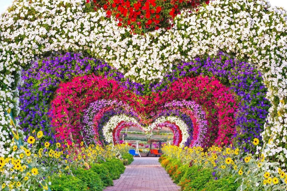 Miracle Garden e Global Village + traslados - Imagen 3