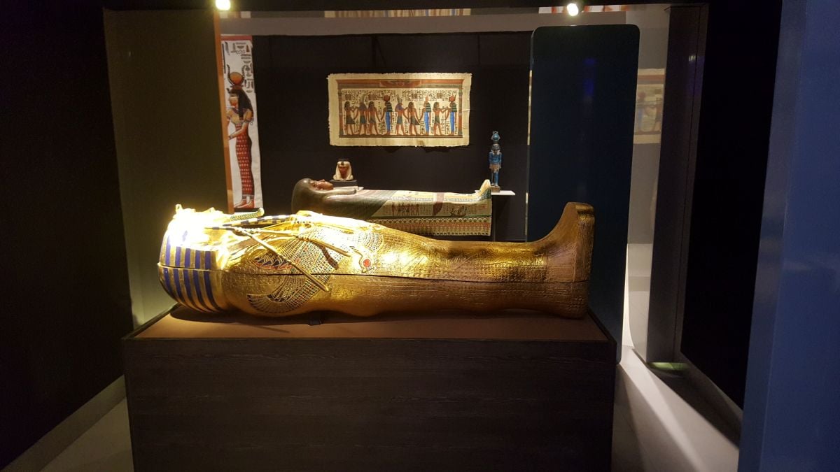 Museo Egipcio de Canela - Instagrameable! - Imagen 3