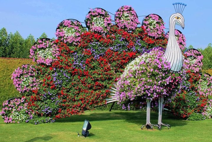 Dubai Miracle Garden com traslado privativo - Imagen 3