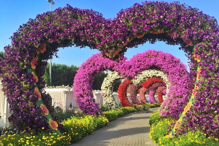 Dubai Miracle Garden com traslado privativo - Imagen 4