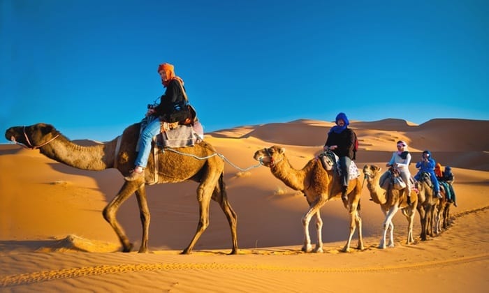City tour y safari en el desierto con cena - Imagen 2