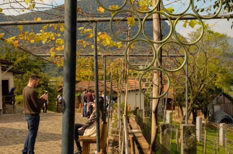 Entrada a Bodega Jolimont con obsequio - Imagen 2