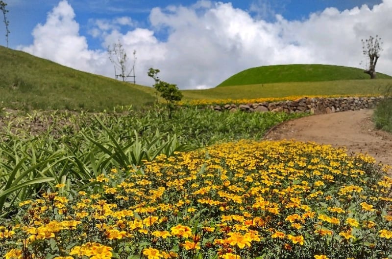 Parque de flores Mátria - Entrada - Imagen 4