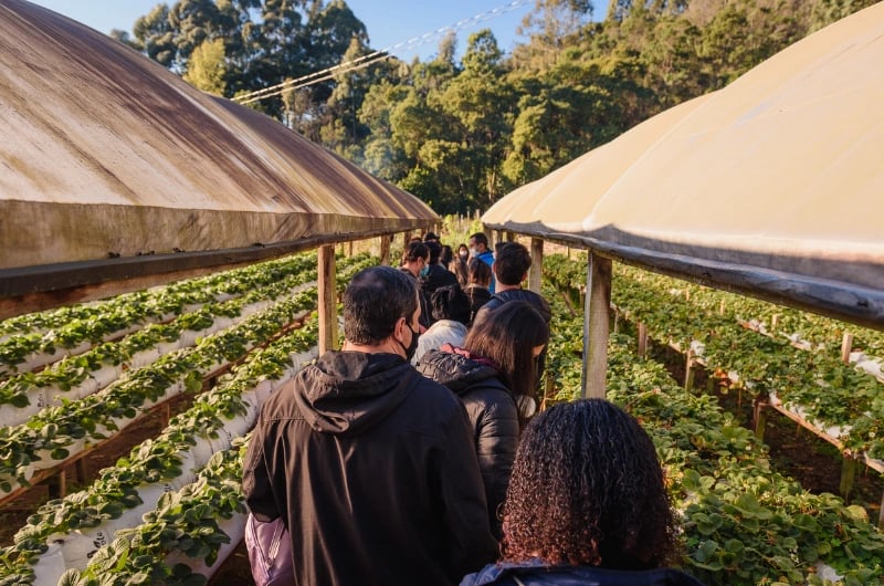 Linha Ávila: paseo rural con costillar - Imagen 2