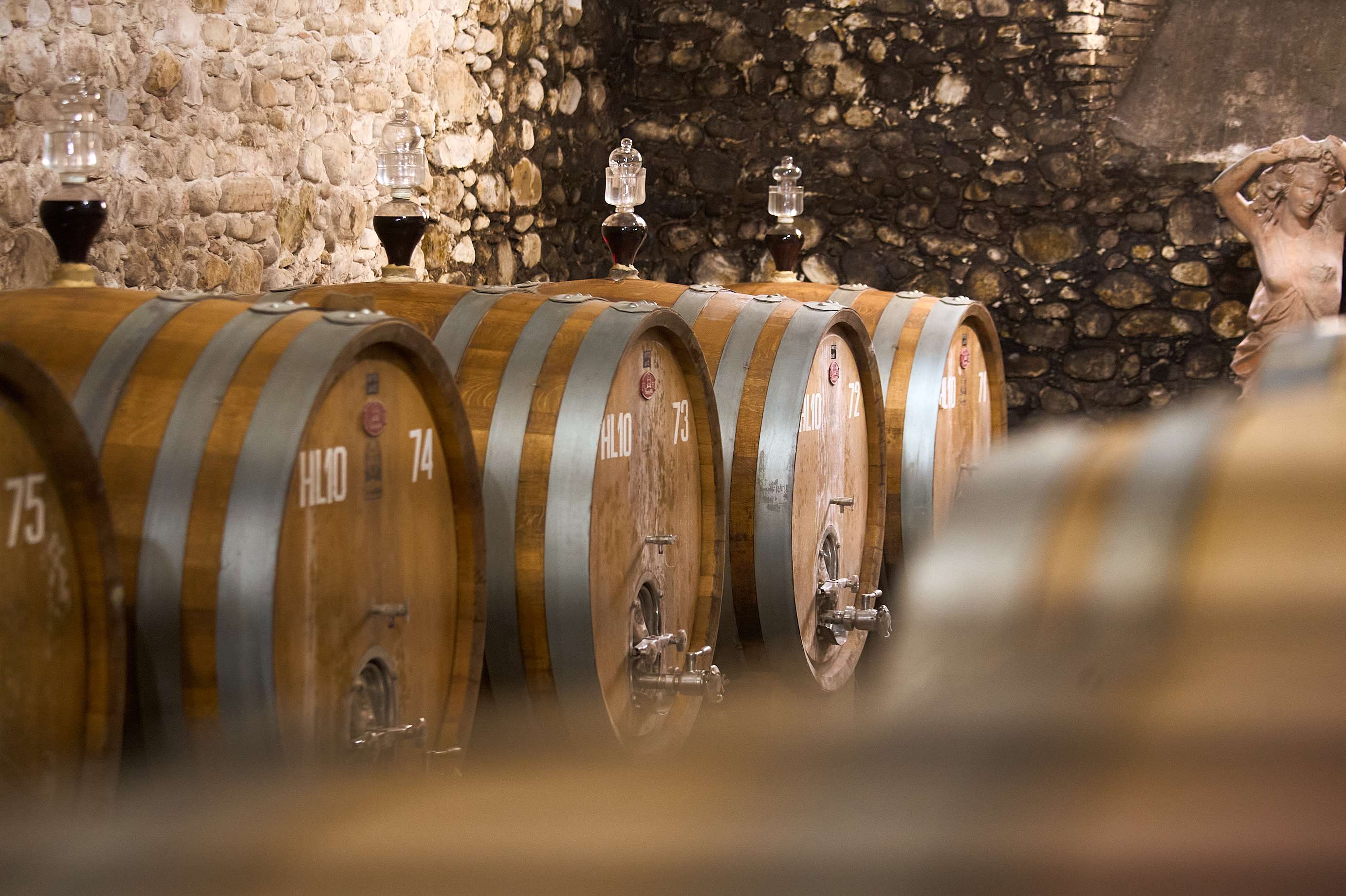 Toscana: degustação de azeite e vinho - Imagen 4
