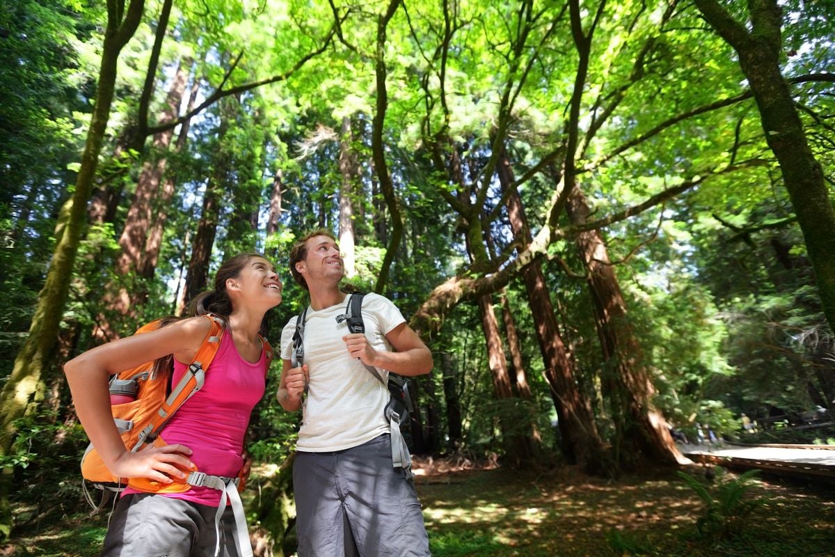 Bosques y vino de San Francisco - Imagen 4