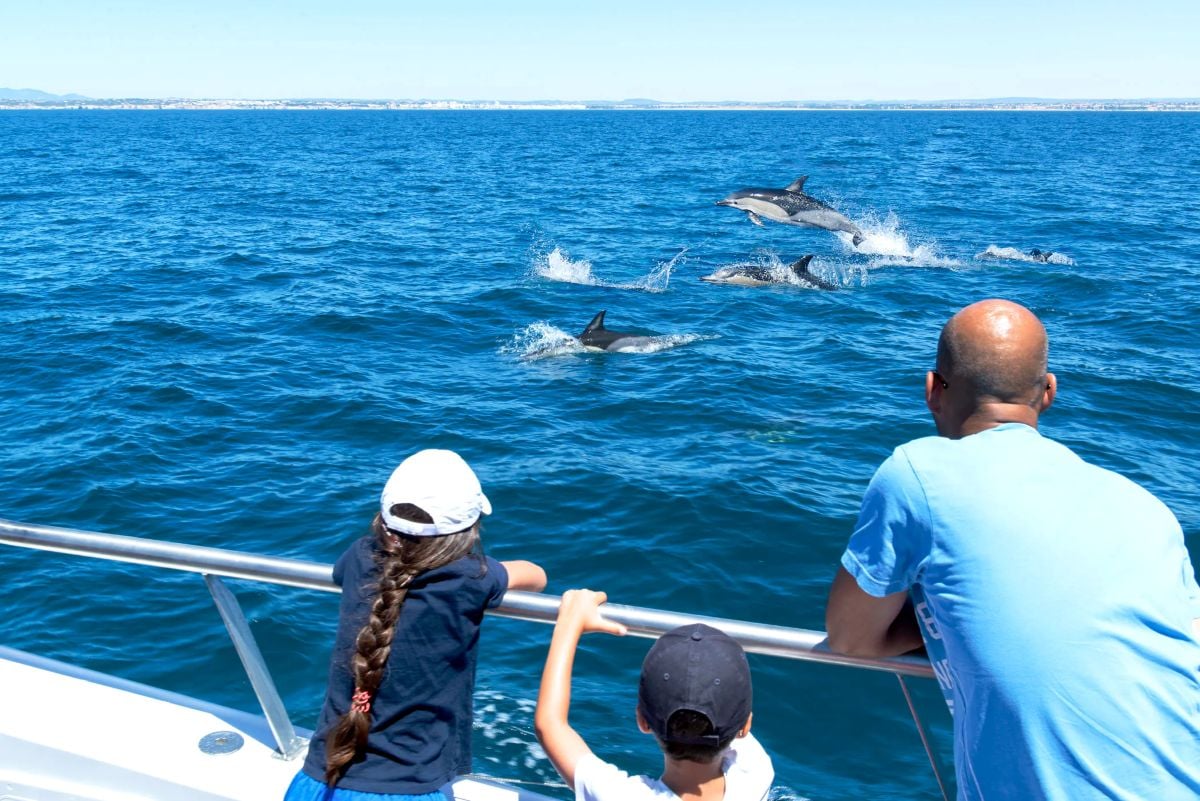 Delfines y cuevas de Benagil en catamarán - Imagen 2