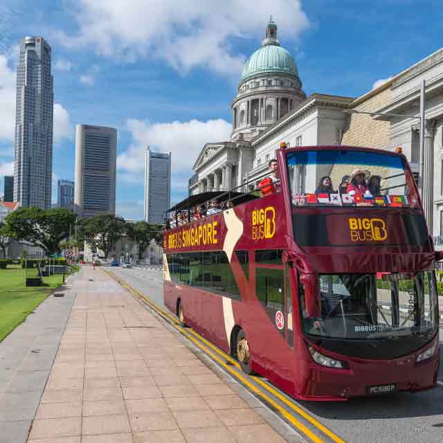 Bus Hop-On Hop-Off Singapur 2 días - Imagen 3