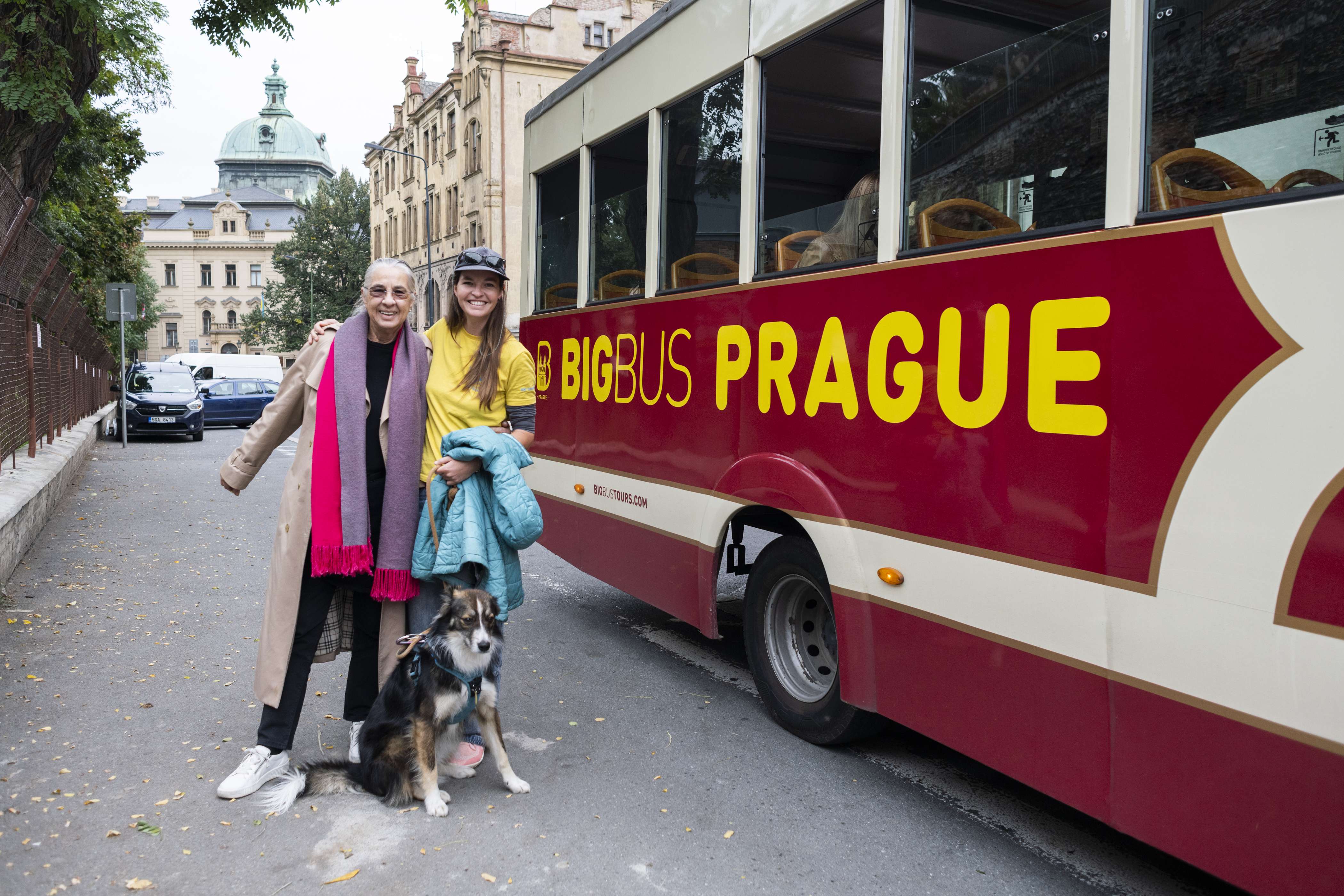 Big Bus Hop-On Hop-Off: ticket 24 h - Imagen 2