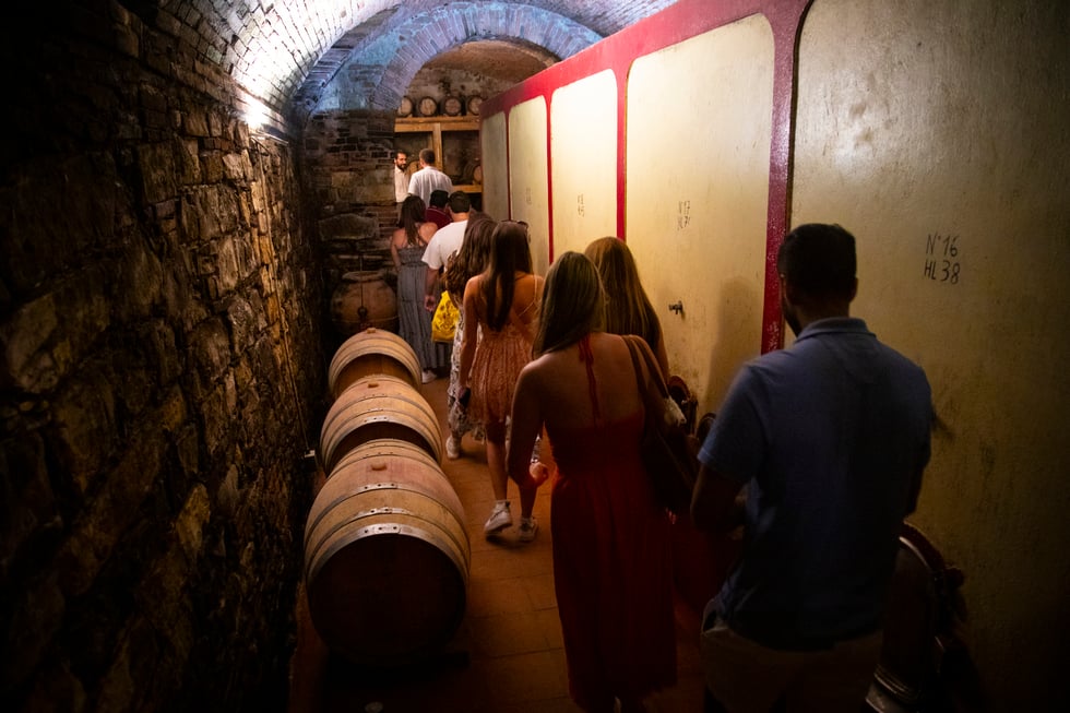 Chianti semiprivado: bodegas y catas - Imagen 4
