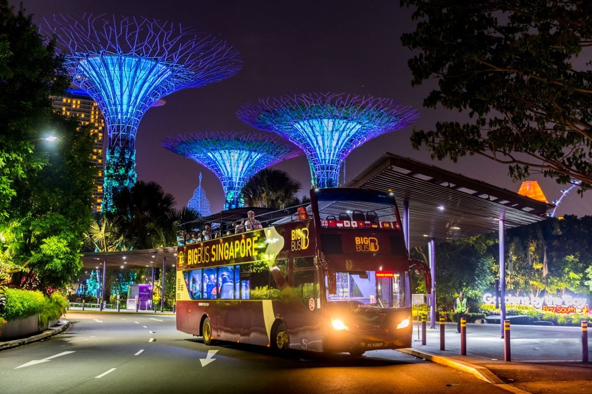 Recorrido nocturno por Singapur - Imagen 3