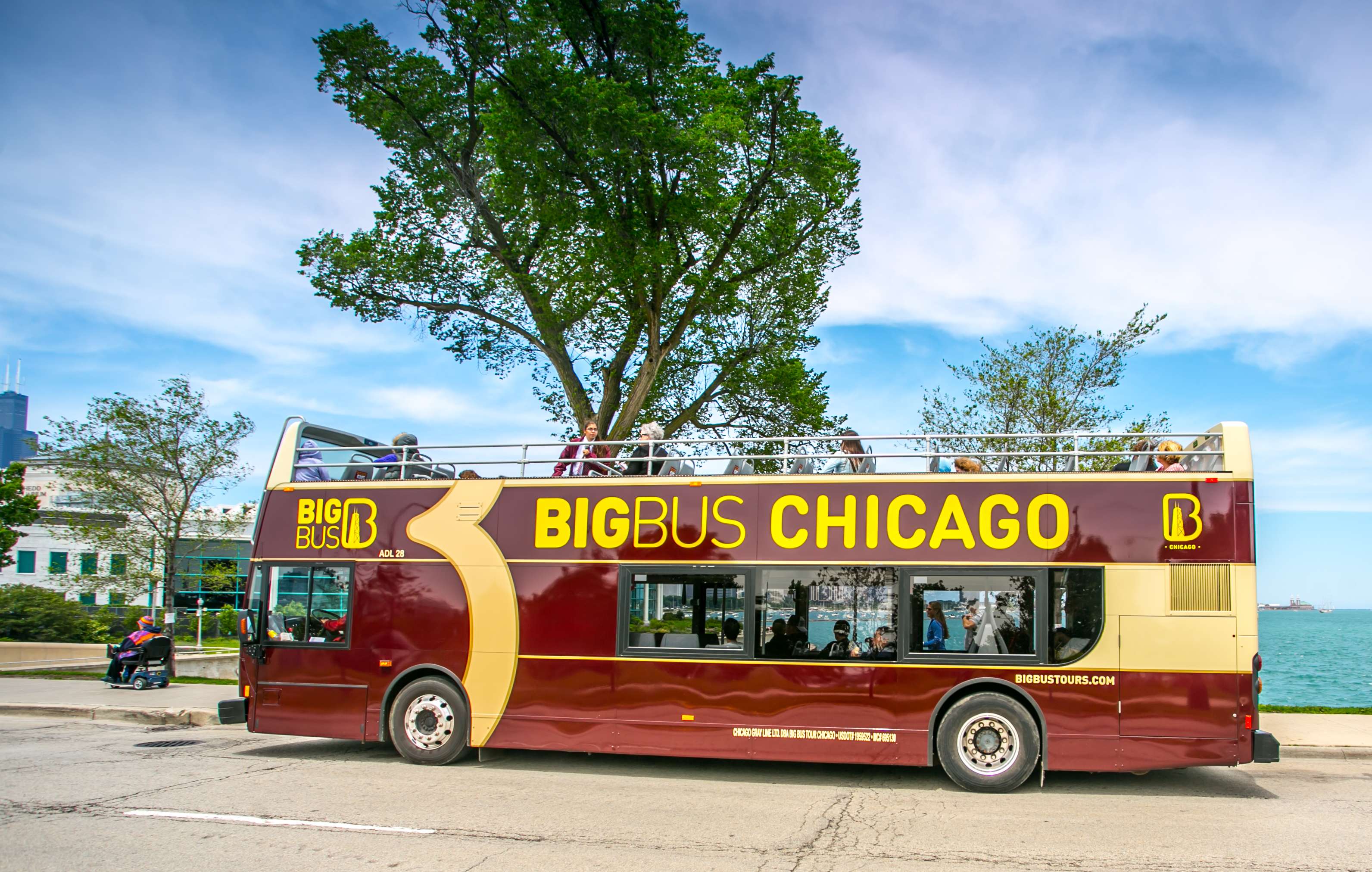 Big Bus Chicago: recorrido de 72 horas - Imagen 3