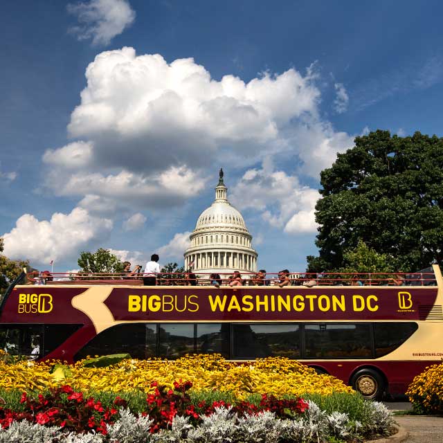 Big Bus Washington de 24 horas - Imagen 2