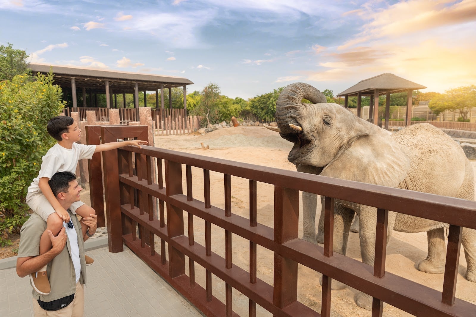 Dubai Safari Park con traslados privados - Imagen 4