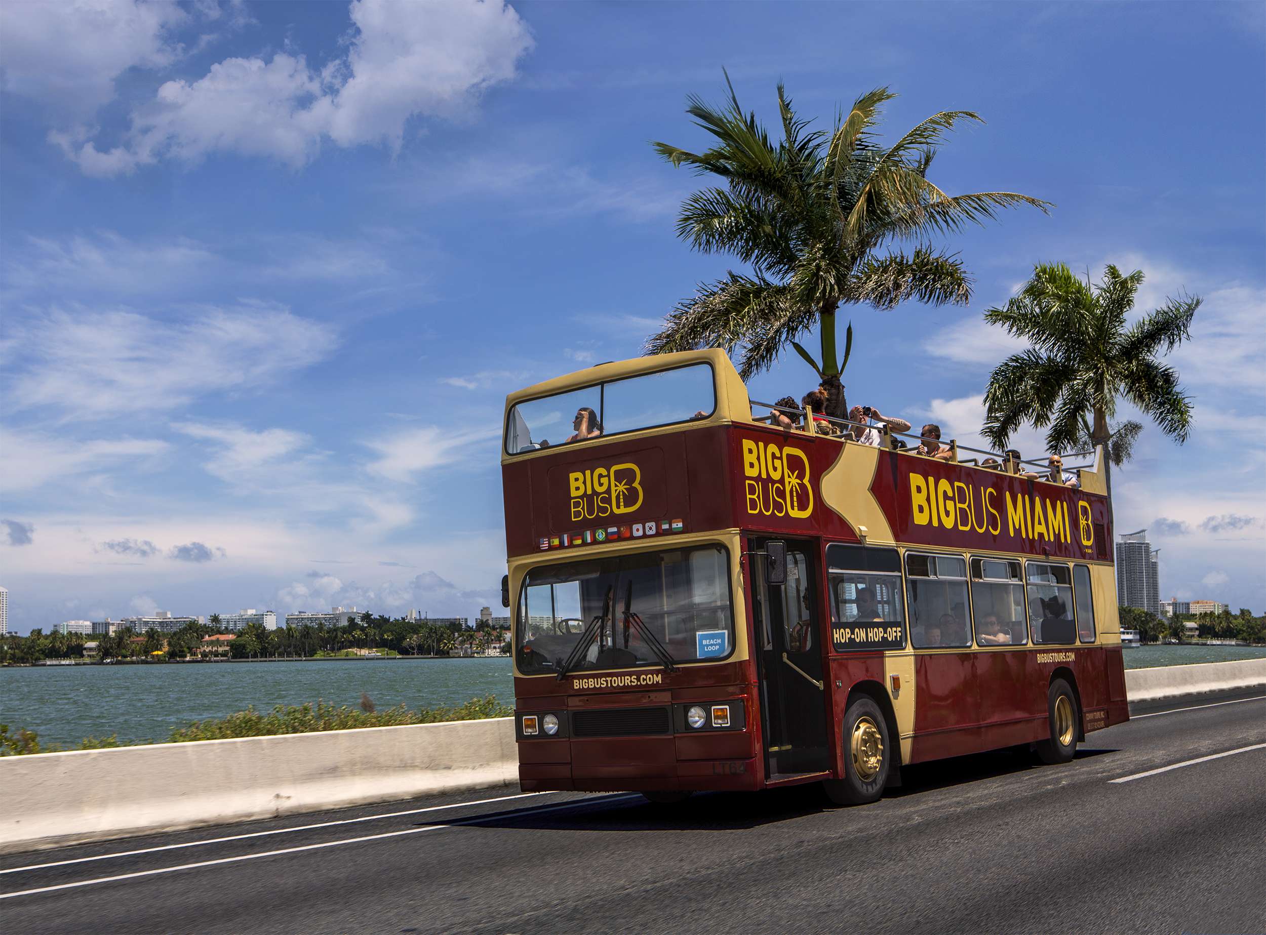 Big Bus Miami 48-Hour Hop-on, Hop-off Tour - Imagen 4