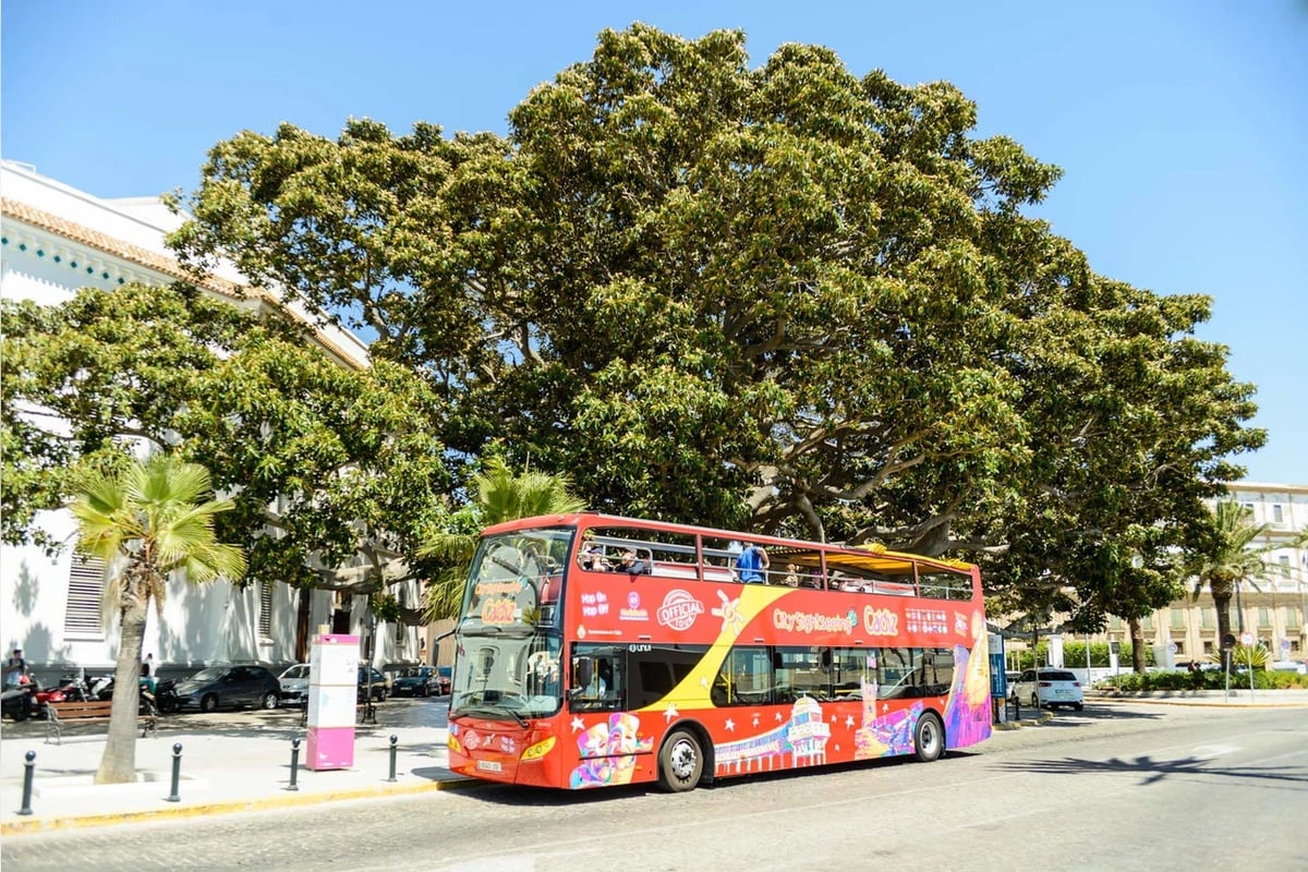 Bus Hop-on Hop-off Cádiz 2 días + tour a pie - Imagen 3