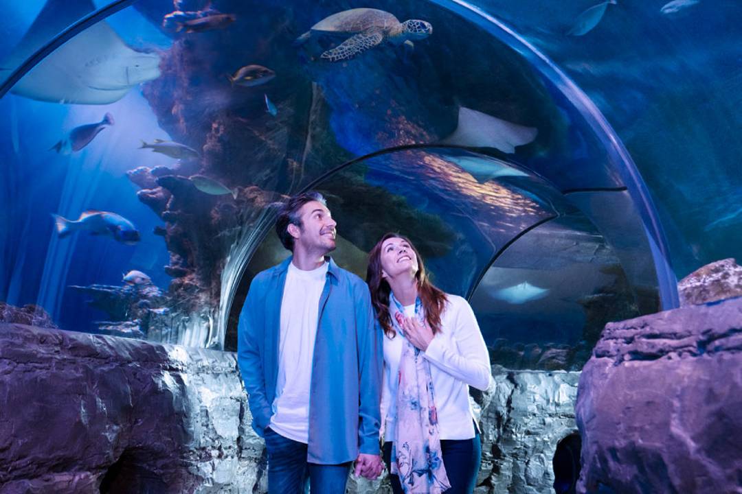 Merlin's Attraction Pass - Madame Tussauds - Imagen 3
