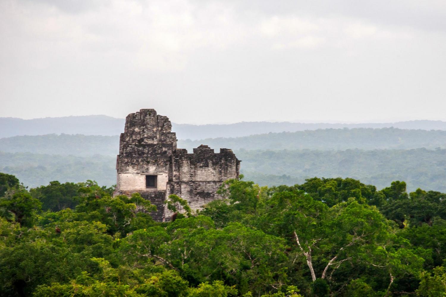 Joyas de la Unesco: Tikal en avión - Imagen 3