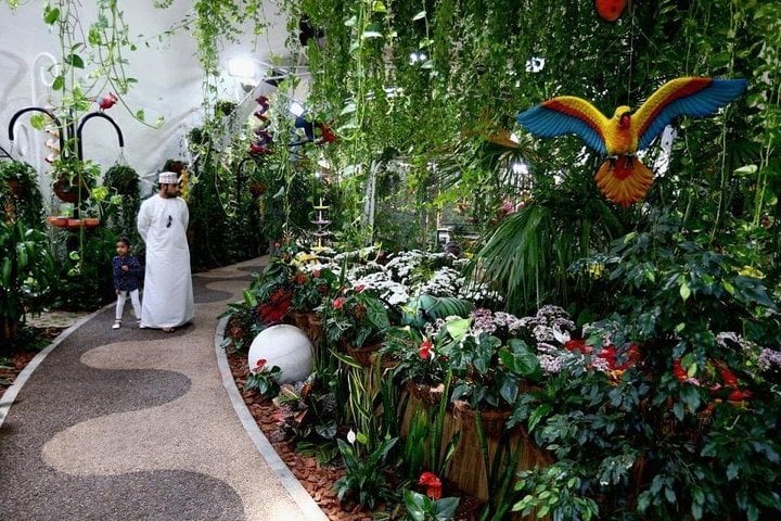 Entradas al Jardín de Mariposas de Dubái - Imagen 4
