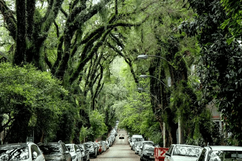City Tour in Porto Alegre - Imagen 3