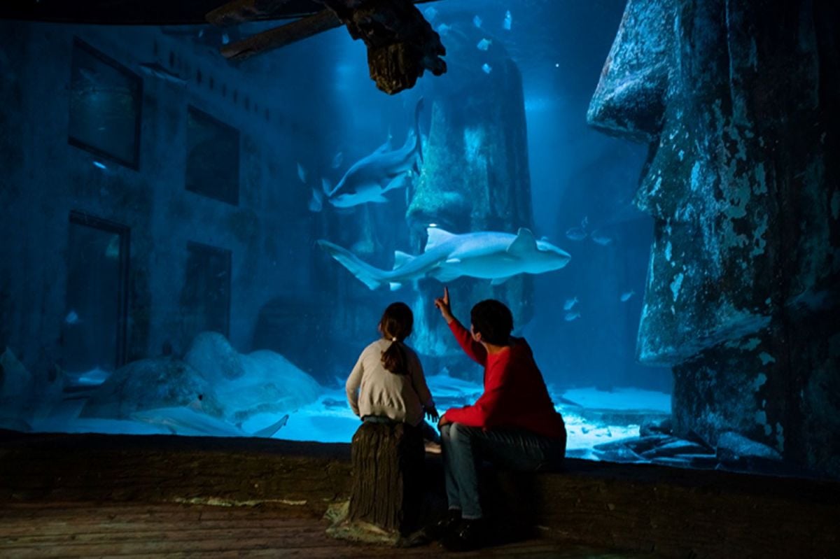 London City Pass: Top Attractions & Tours - Imagen 2
