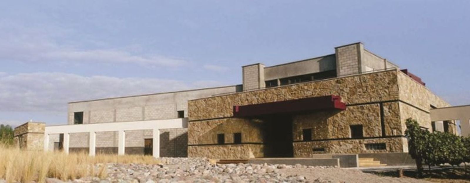 Vinhos e azeitonas em Mendoza - Imagen 3
