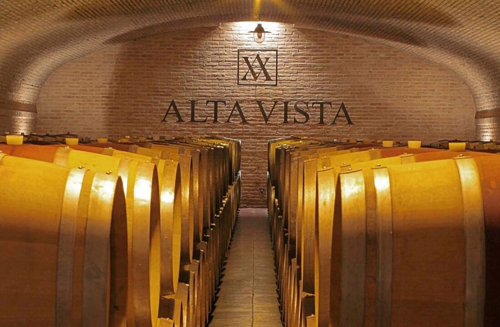 Vinhos e azeitonas em Mendoza - Imagen 4