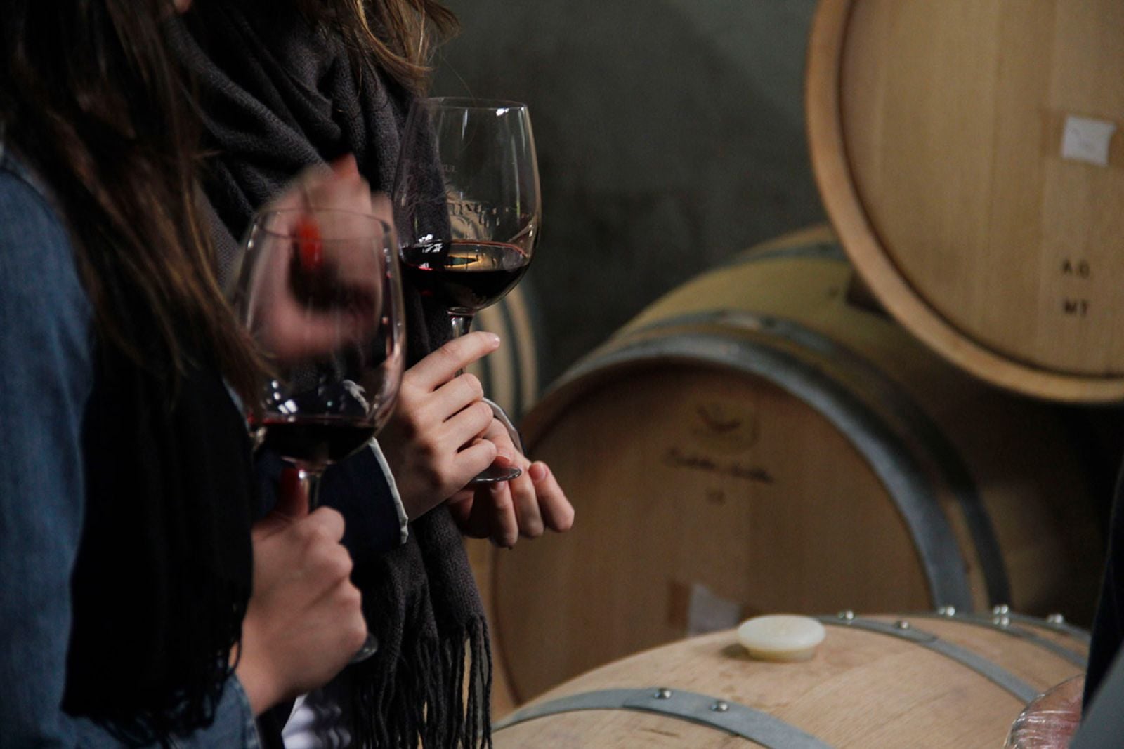 Uco Valley: Tastings and Gourmet Lunch - Imagen 2
