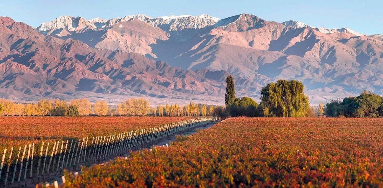 Uco Valley: Tastings and Gourmet Lunch - Imagen 3