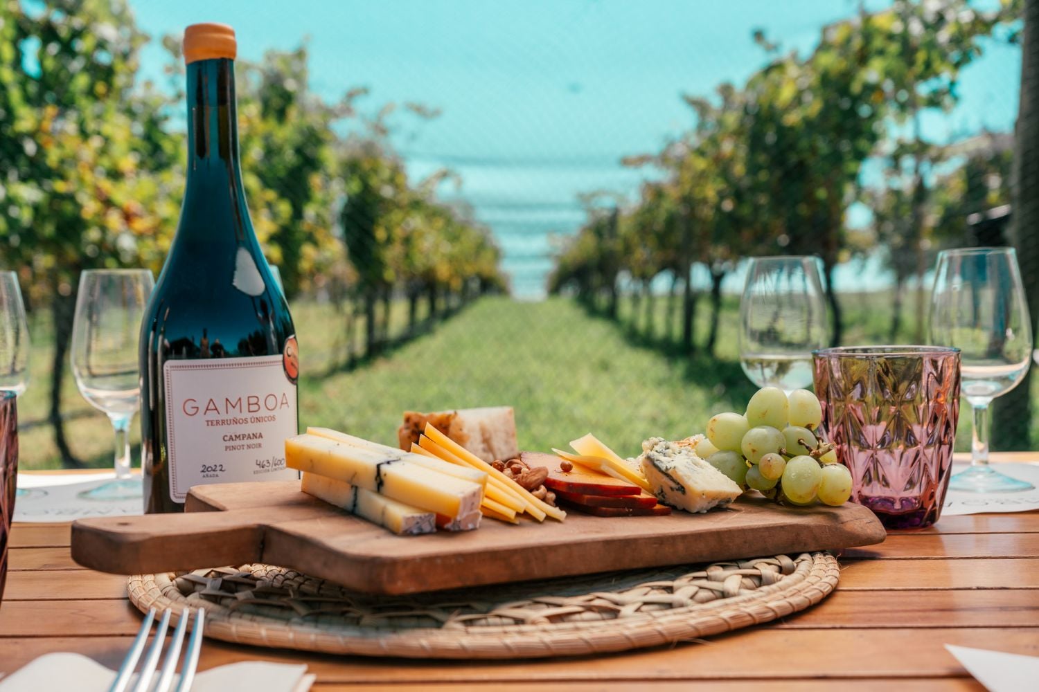Viñedo Gamboa: vino y gastronomía - Imagen 4