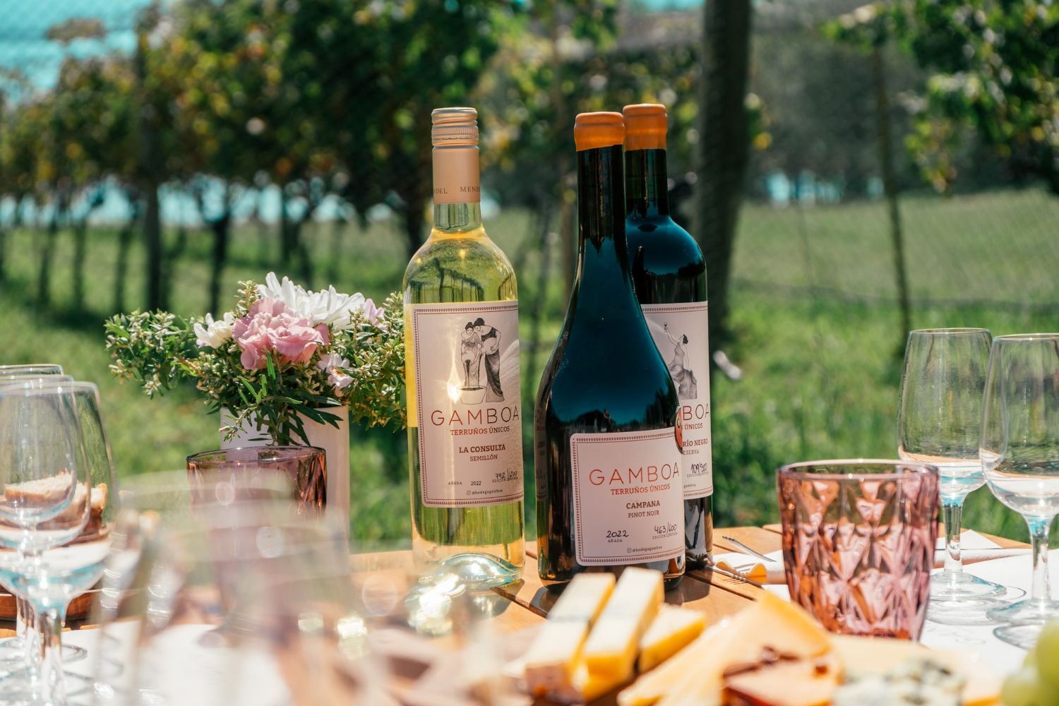 Viñedo Gamboa: vino y gastronomía - Imagen 3