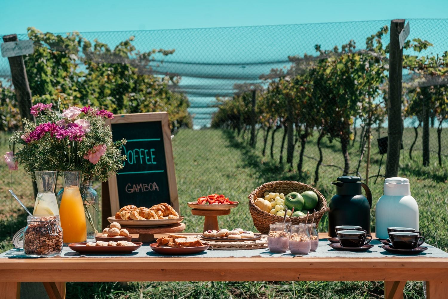 Viñedo Gamboa: vino y gastronomía - Imagen 2