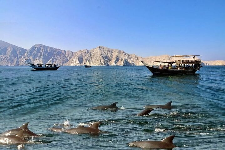 Crucero en dhow: delfines y esnórquel - Imagen 4