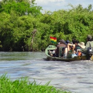 Tour por la selva del Madidi 3 días - Imagen 2