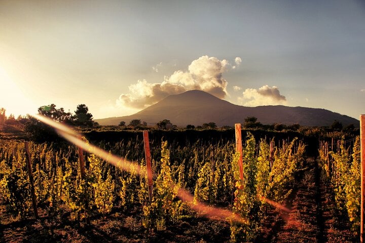 Pompeii with Wine Tasting and Lunch - Imagen 3
