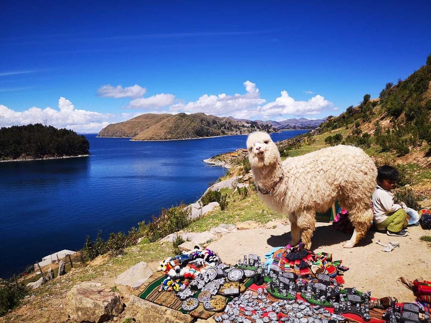 Día completo a Copacabana y Titicaca - Imagen 3