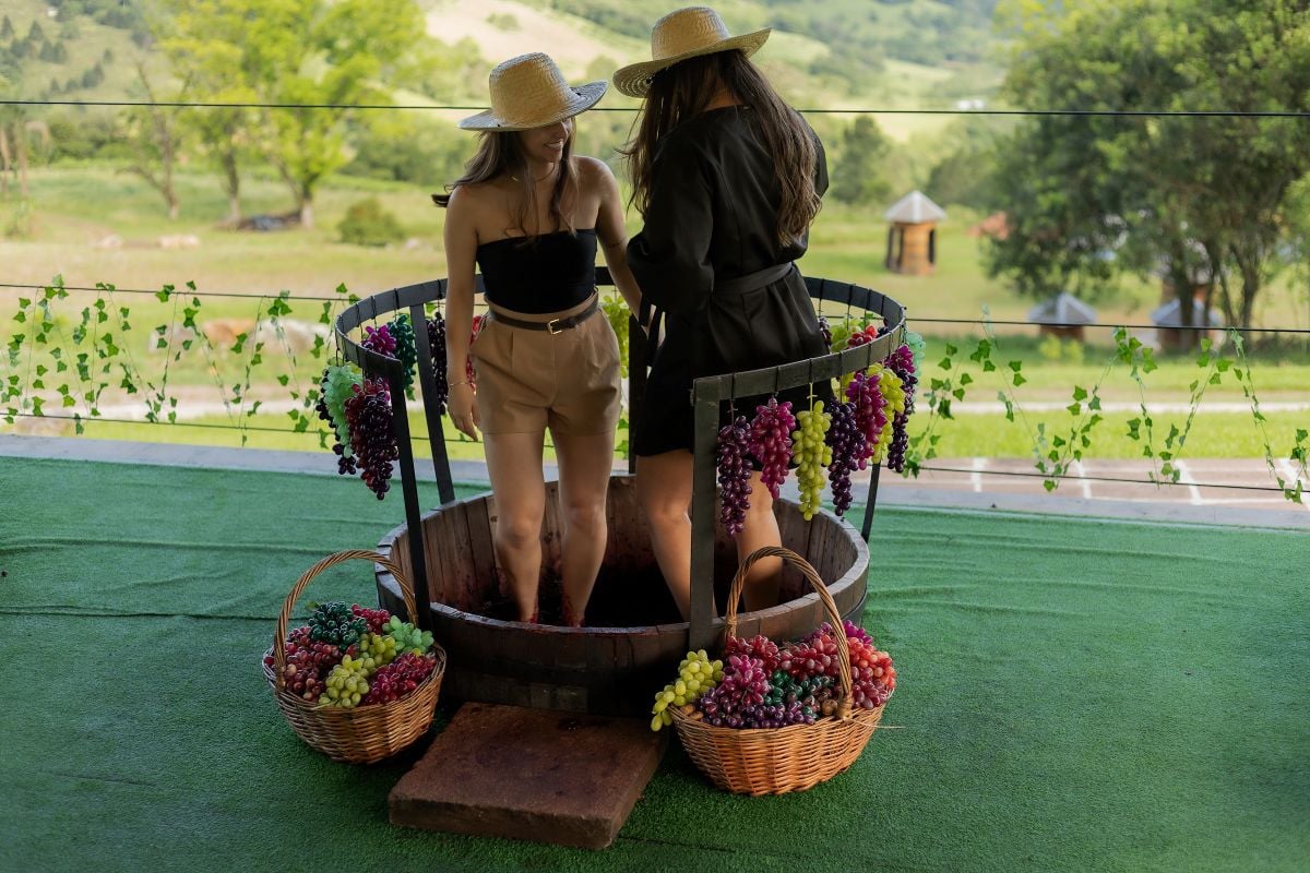 Grape Stomping at Jolimont Winery - Imagen 2