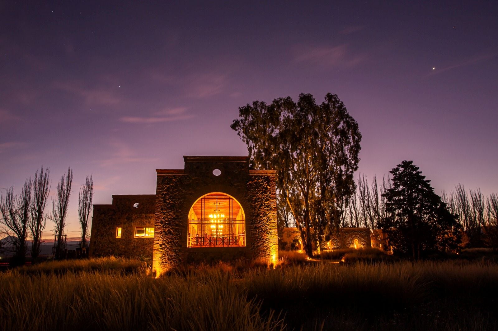 El Enemigo Winery with Lunch at Angélica - Imagen 3