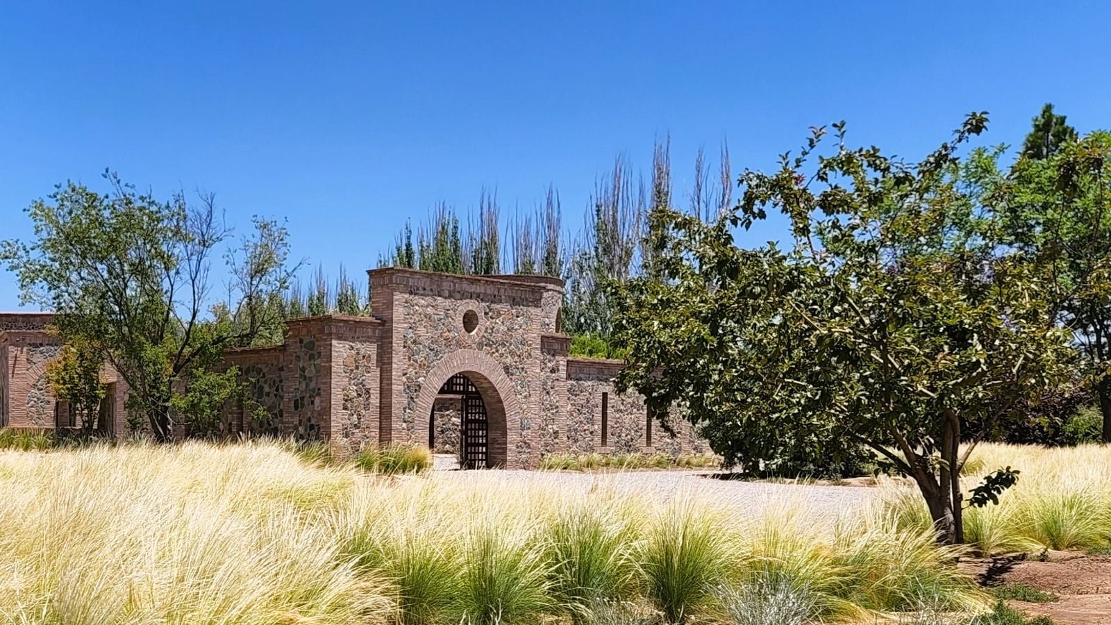 El Enemigo Winery with Lunch at Angélica - Imagen 4