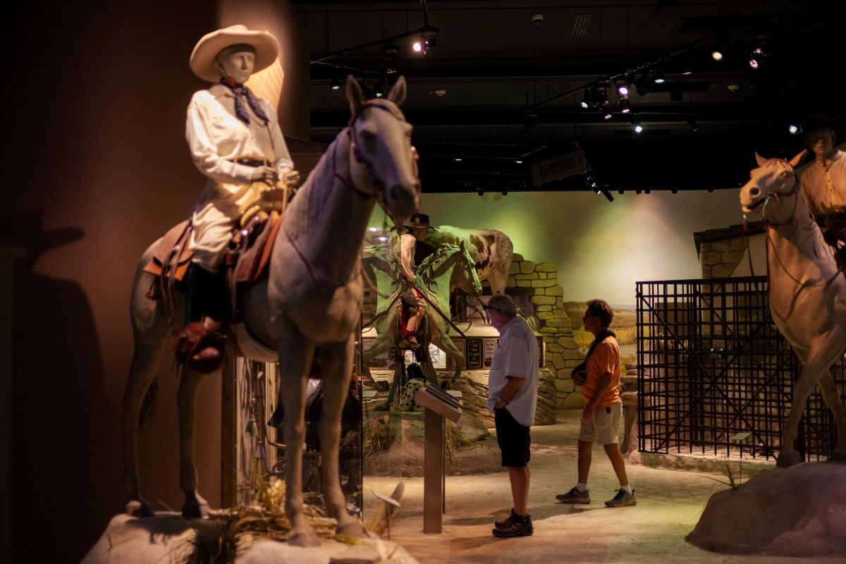 San Antonio CityPASS: 4 atracciones - Imagen 3