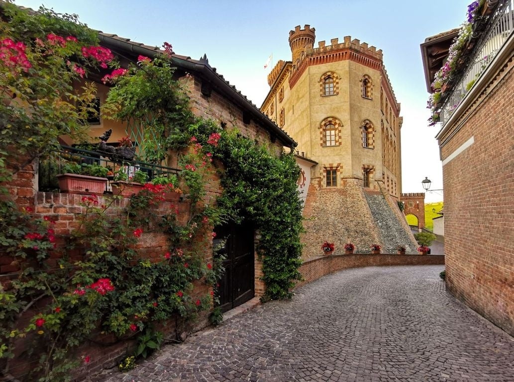 Viñedos de Barolo y la Catedral del Vino - Imagen 2