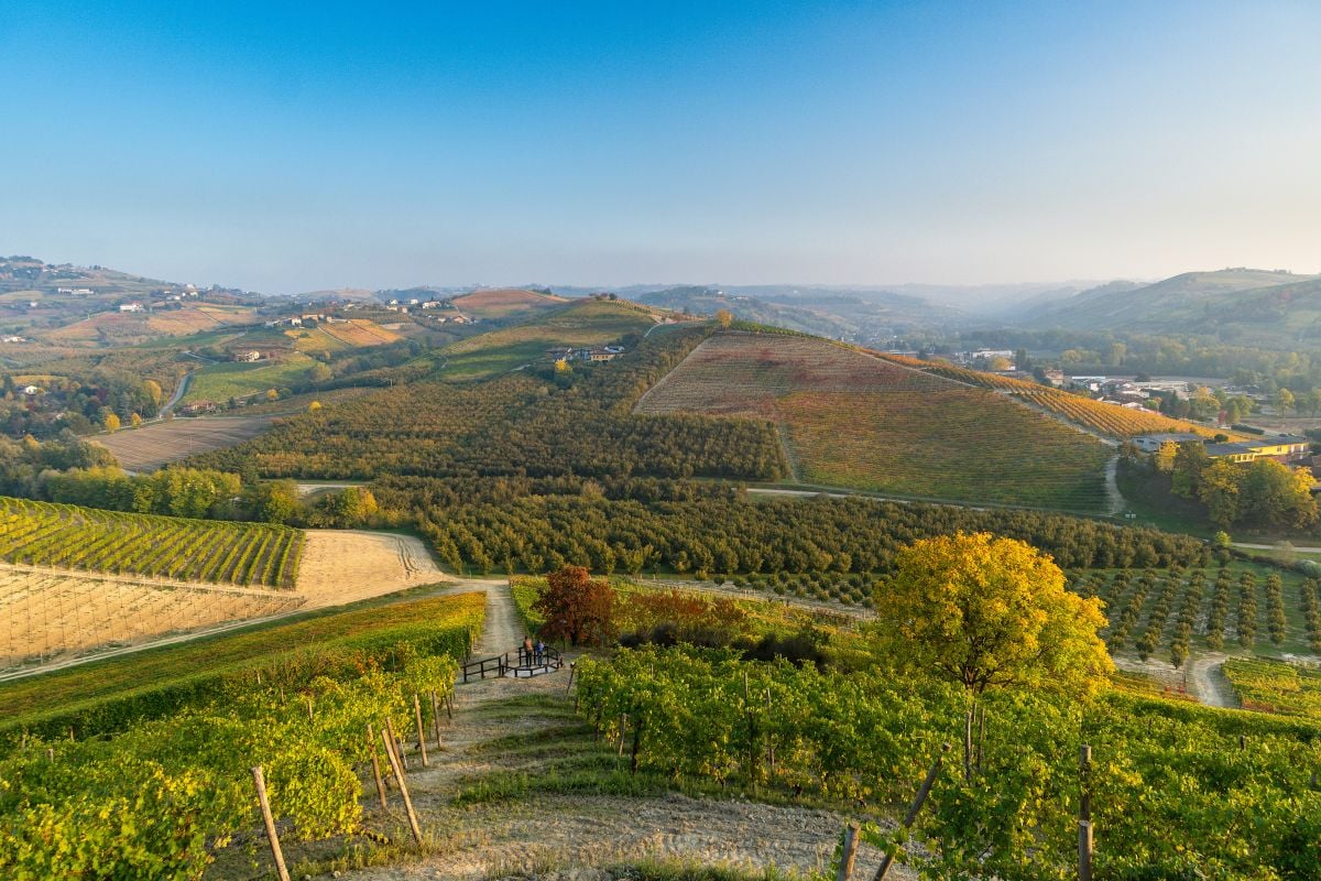 Viñedos de Barolo y la Catedral del Vino - Imagen 3