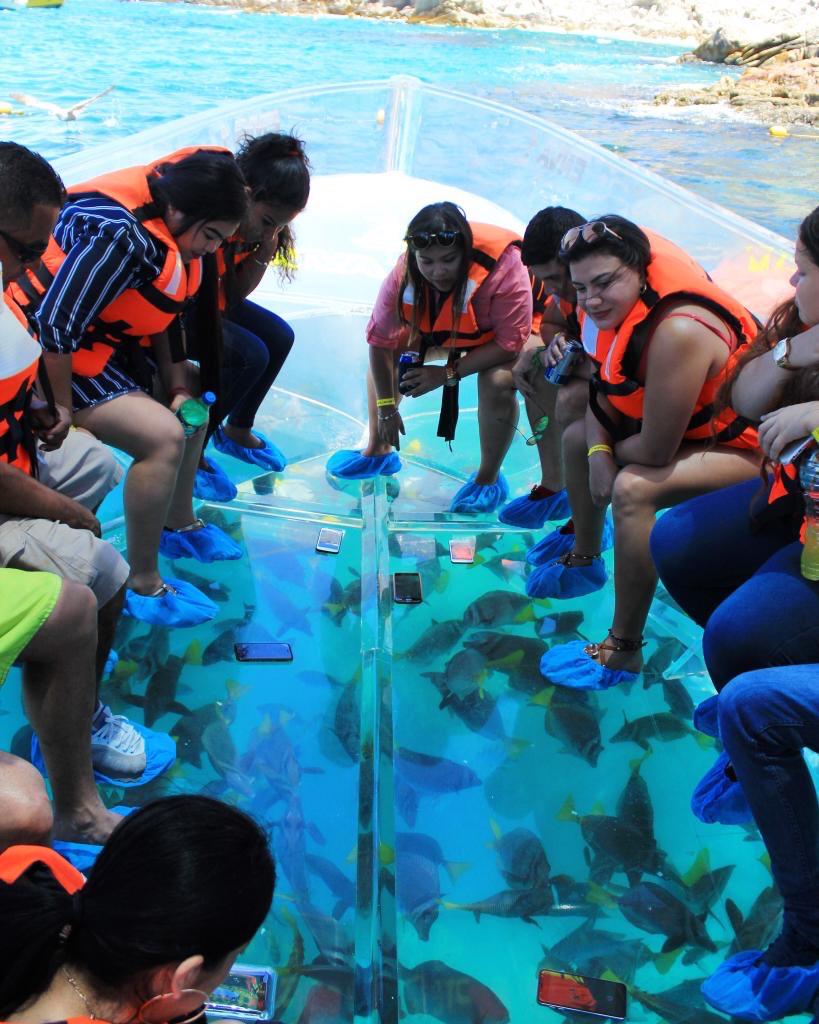 Barco transparente y city tour en Los Cabos - Imagen 4