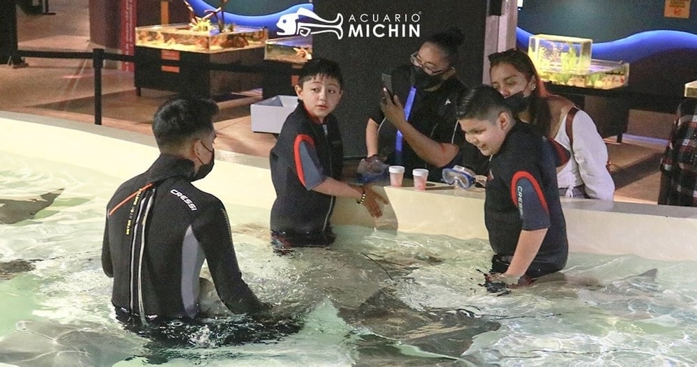 Entrada al Acuario de la ciudad de Michin - Imagen 2