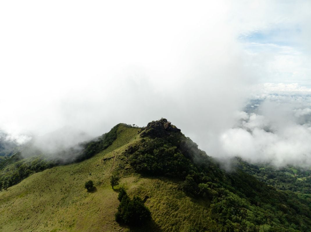 Parque Nacional Soberanía - Imagen 4