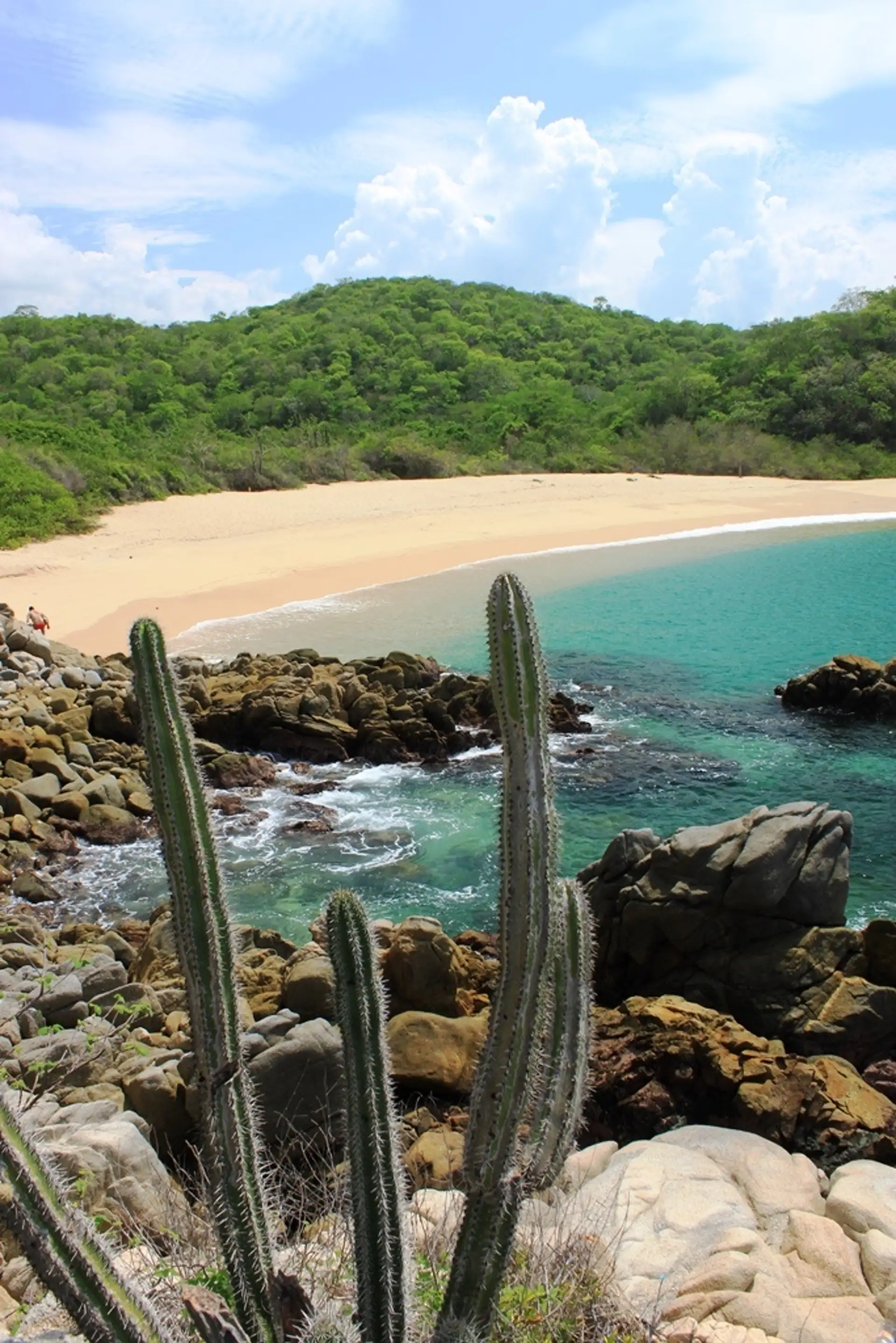 Tour por las bahías de Huatulco - Imagen 3