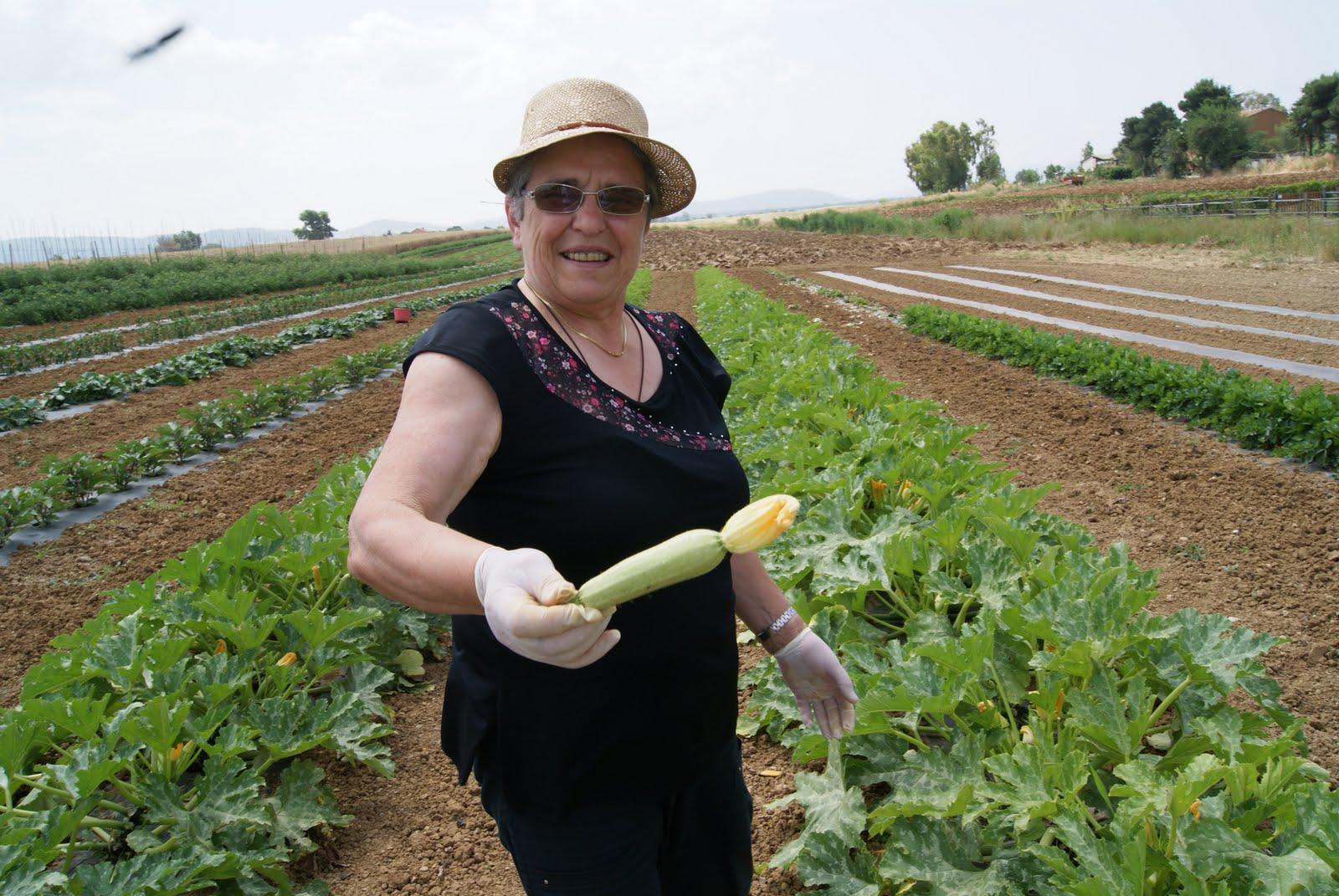 Dia de Cozinha no Campo Romano - Imagen 3