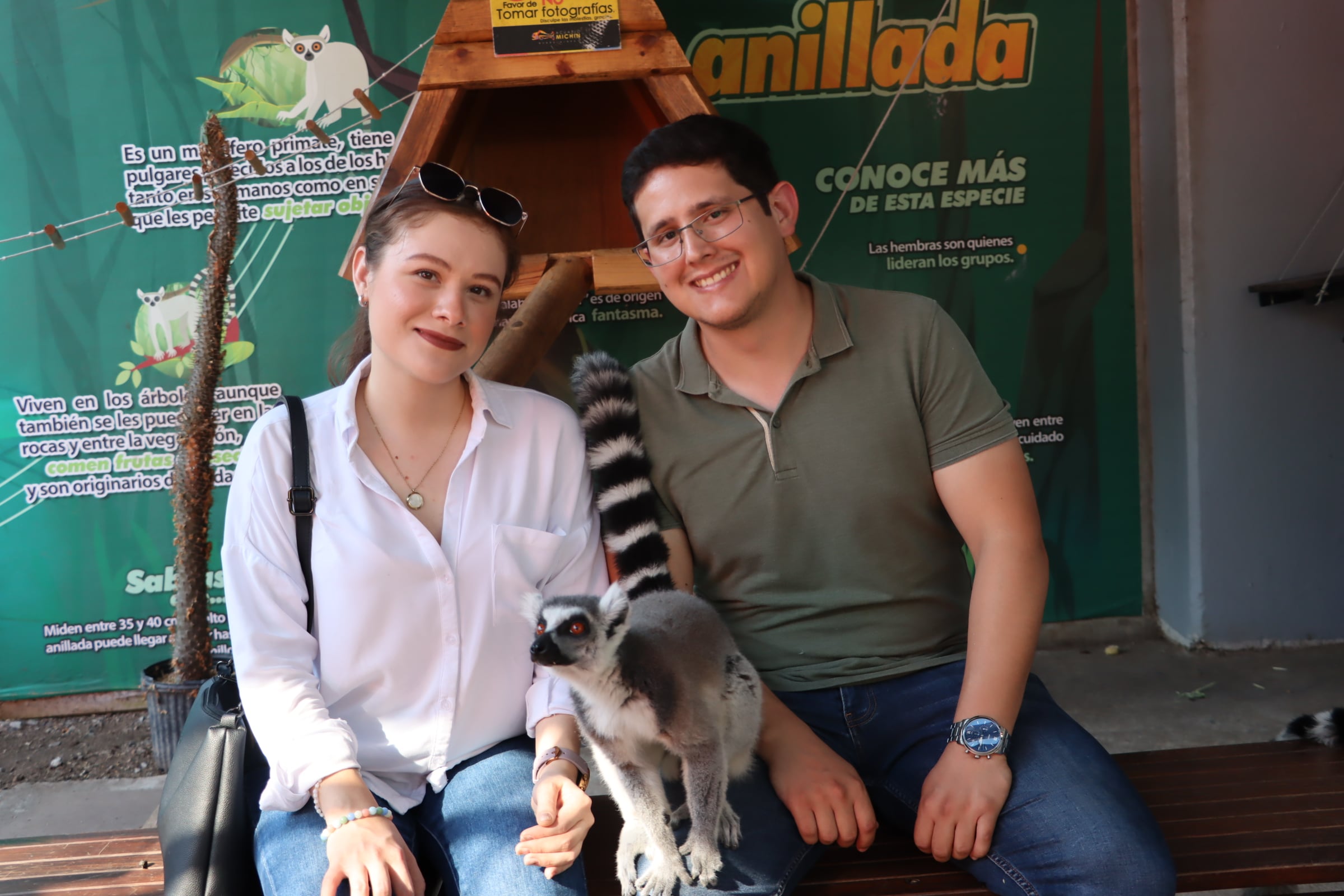 Ticket to Michin Aquarium Guadalajara - Imagen 3