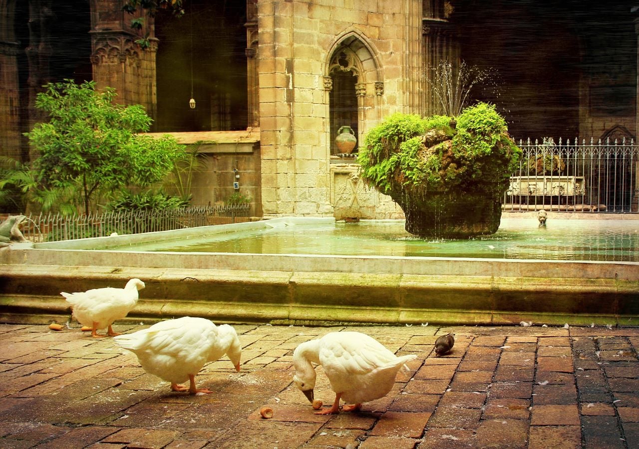 Catedral, terraço e realidade virtual - Imagen 4