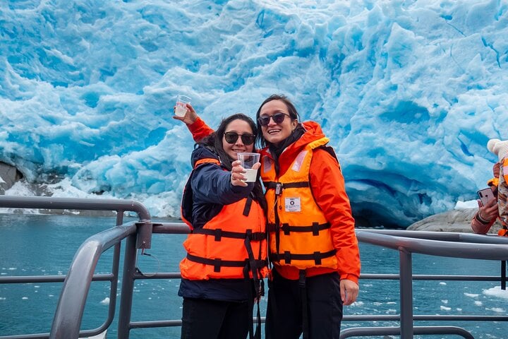 Navegación: Ballenas, Pingüinos y Glaciares - Imagen 2